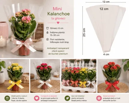 Ambalaj transparent 25x12x4cm/1000buc