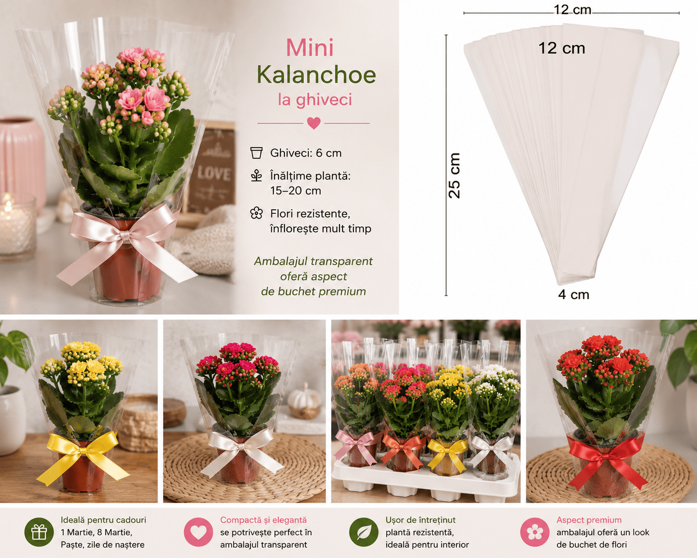 Ambalaj transparent 25x12x4cm/1000buc Ambalaj transparent 25x12x4cm/1000buc