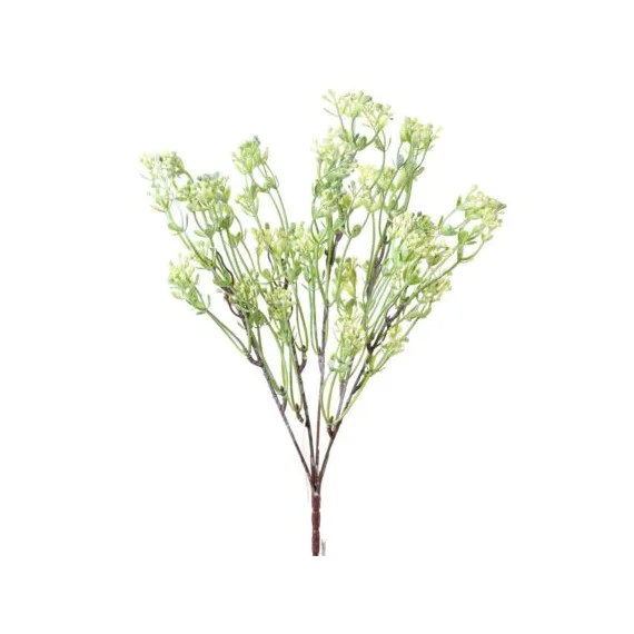 Buchet-verdeata-cu-bobite-35-cm-430x430.jpg Buchet verdeata cu bobite 35cm