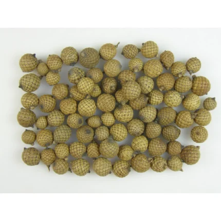 Semințe de palmier 0,15 kg