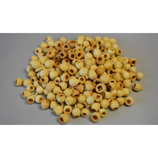 CS5025040301 Nuca de ambra