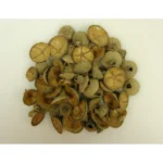 Capace de ghindă cu model în formă de cruce