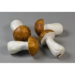 Ciuperci hrib 6 cm 4buc