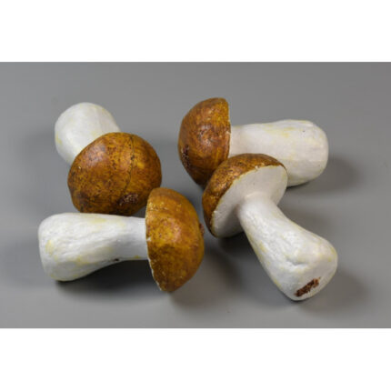 Ciuperci hrib 6 cm 4buc