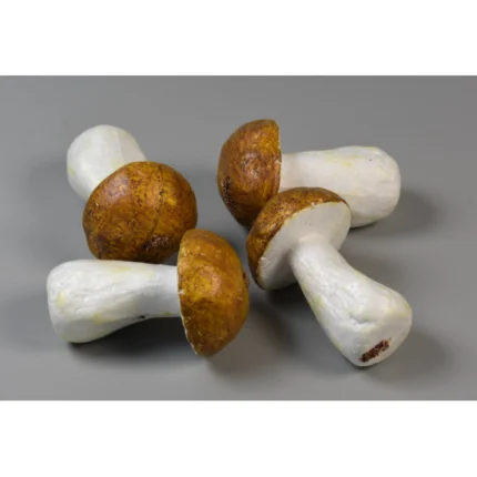 Ciuperci hrib 6 cm 4buc