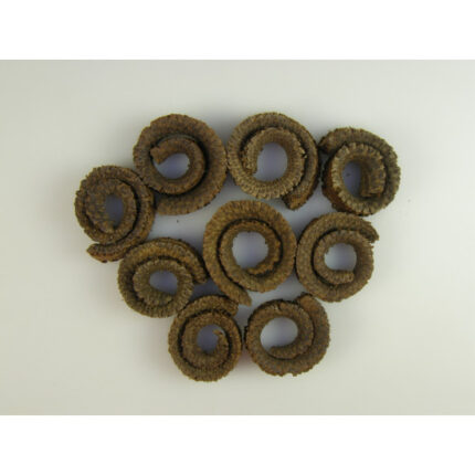 Coarne de berbec taiate 5 kg