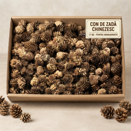 Con de zada chinezesc 1.7 kg