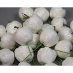 Mere decorative 2,5 cm, set 45 buc