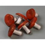 Ciupercute decorative roșii 5,1 cm 10 buc