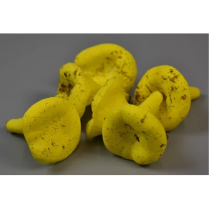 Ciupercuțe gălbior 4.5 cm 11 buc