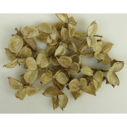 Capsule de bumbac natural