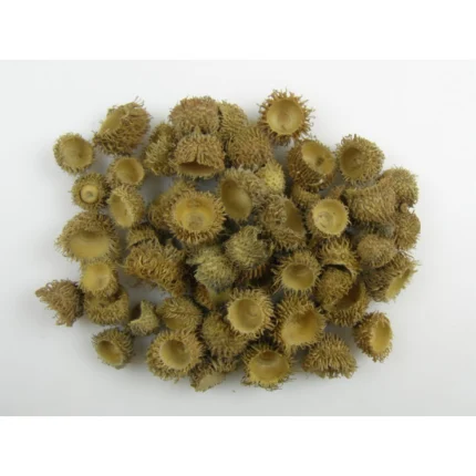 Pălării de ghindă