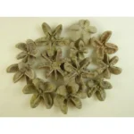 Fruct uscat decorativ de portocala