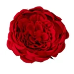 Trandafir englezesc de matase 10,5 cm