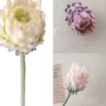 Protea artificiala 60,5cm