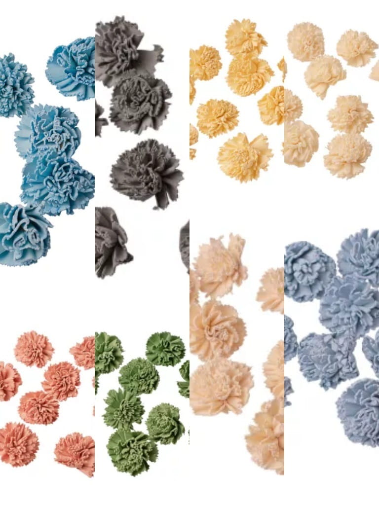 DF022 Garoafă Shola 4cm 10 buc/pachet