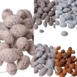 Fructe de trestie de zahăr