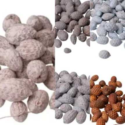 Fructe de trestie de zahăr