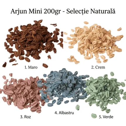 Arjun Mini