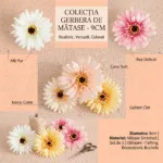 Gerbera matase, 9cm/12buc